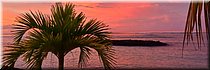19 feb 2026
Manase (Savai'i)
Regina Beach Fales
Zonsondergang in de zuidzee