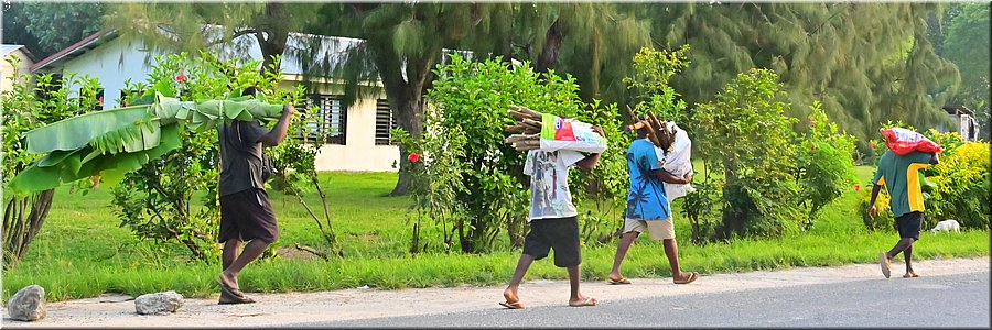 11 mrt 2026
Port Vila (Vanuatu)
Palmoogst