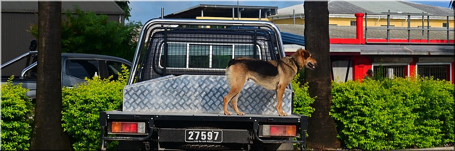 25 mrt 2026
Port Vila (Vanuatu)
Auto waakhond