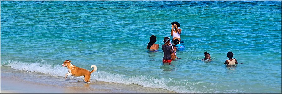 30 mrt 2026
Port Vila (Vanuatu)
Pango Surf Break
Zeehond