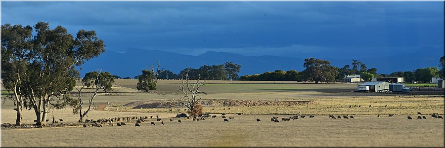 16 apr 2026
Van Stawell naar Lake Lonsdale
Koetjes