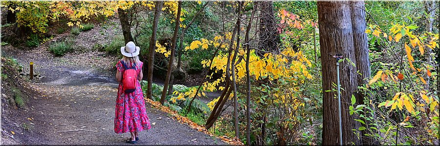24 apr 2026
Crafers
Mount Lofty Botanic Garden
Herfstkleuren