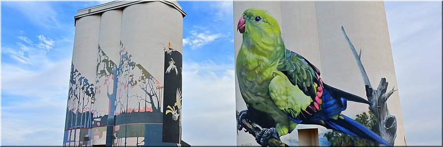 28 apr 2026
Waikerie
Silo Art
links: Garry Duncan
rechts: Jimmy Dvate