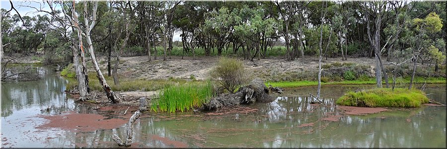 8 mei 2026
Berry
Rodeo Trail
Langs de Murray River
Zijkreek