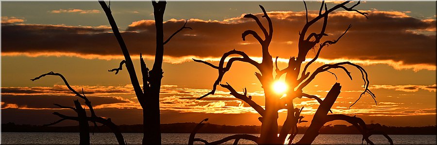 9 mei 2026
Barmera
Lake Bonney
Zonsondergang