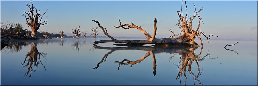 11 mei 2026
Barmera
Lake Bonney
Spiegelbeeld