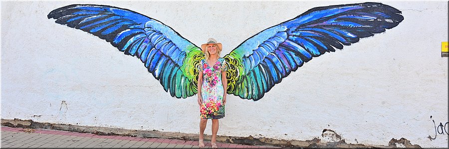 18 mei 2026
Waikerie SA
'The Yellow Rosella' - Jacqui Mason
Angel Wings