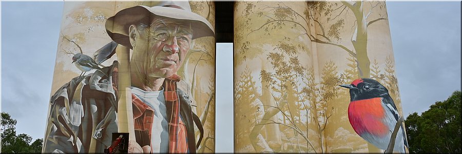 26 mei 2026
Wirrabara (SA)
Silo Art, Sam Bates (SMUG), 2018