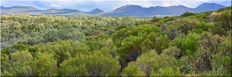 29 mei 2026
Wilpena Pound (SA)
Wangara Lookout walk
Overzicht van de door bergruggen omsloten Pound