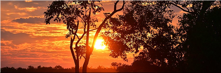 30 juni 2026
Nitmiluk
Edith River Freedom Camping
De zon zakt weg!
