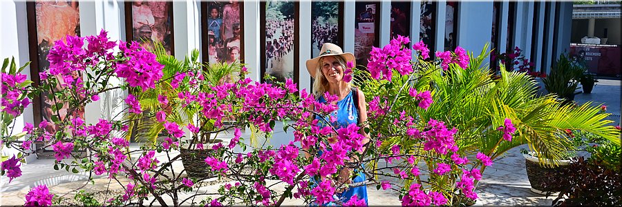 9 juli 2026
Dili (Oost-Timor)
Arquivo & Museu da Resistencia Timorens
Mieke tussen de bougainvillea