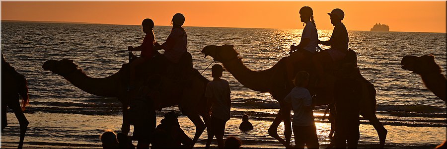 16 juli 2026
Darwin
Mindil Beach
Dromedarissen bij zonsondergang