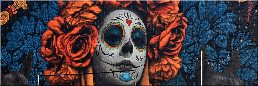 18 juli 2028
Darwin
Austin Street
'La Catrina', Eric Skotnes /  Angelica Navarro (2025)
Gemaakt voor het 'Darwin Street Art Festival'