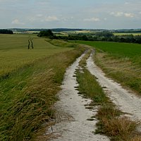 De 'Oude Romeinse Weg' tussen Rilly sur Aisne en Sainte Vaubourg