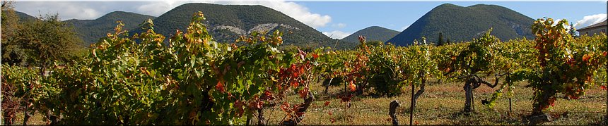 Saint Pantalon les Vignes