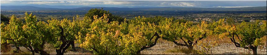 Saint Pantalon les Vignes