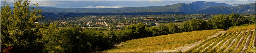 Saint Pantalon les Vignes