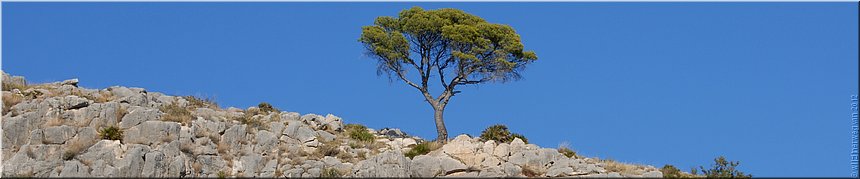 Oropesa del Mar