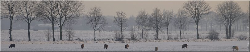 Neterselse Heide