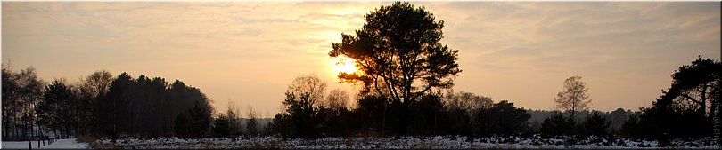 Neterselse Heide