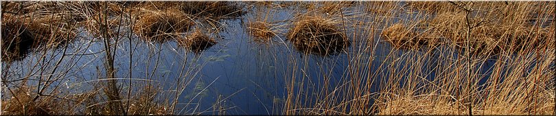 Neterselse Heide