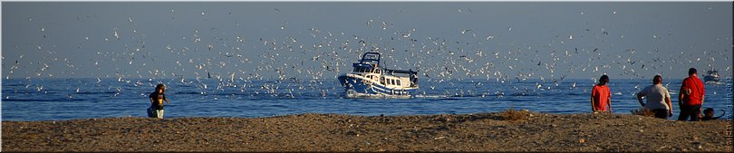 Cambrils