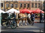 Warschau   
Rynek Starego Miasta