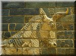 Berlijn
Pergamon Museum    
Ishtar-poort, stier
Babylon