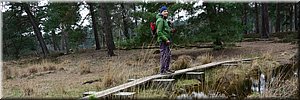 wo 10-3-2021 Langs de rand van Nederland 32 - Velden > Arcen - Struinen door Maasdijnen - 15,8 km