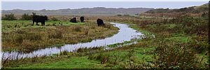 do 11-11-2021 Langs de rand van Nederland 95 - De Koog > De Cocksdorp - Sloffen door de Slufter - 20,9 km