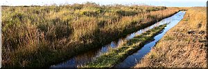 ma 22-11-2021 Langs de rand van Nederland 106 - Buren > Schiermonnikoog - Dag Ameland, Hallo Schiermonnikoog - 15,2 km