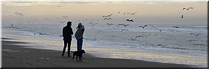 vr 28-1-2022 Langs de rand van Nederland 114 - Zandvoort > Noordwijk - van noord naar zuid hollend - 17,2 km