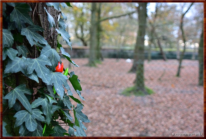 ,  

Langs de rand van Nederland 9
Weert
Laurabosweg
Dierenpark ''t Laurabos'
Mijlpaal 8        4/34