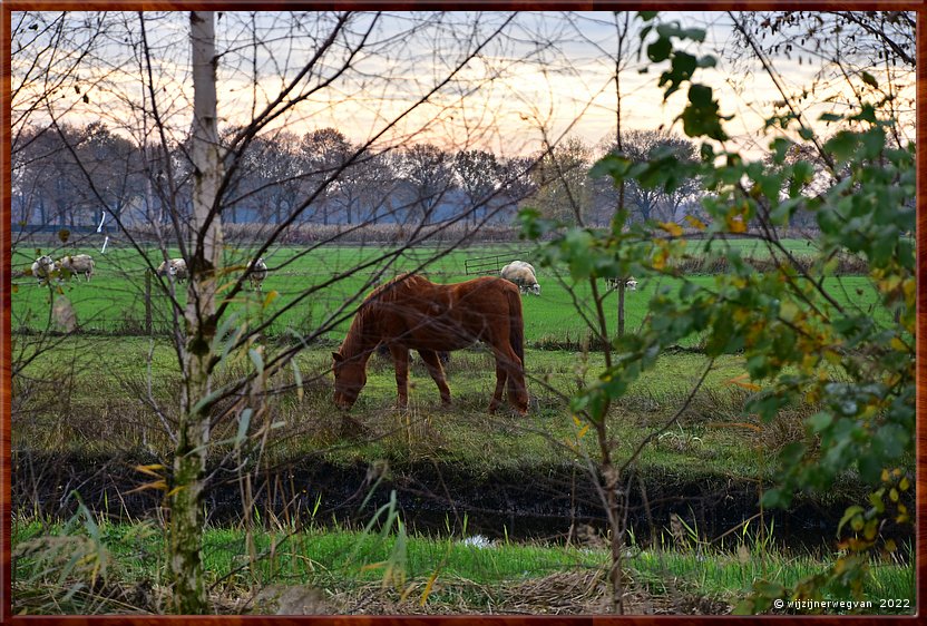 ,  

Langs de rand van Nederland 9
Weert
'Kempen Broek'
Tungelroyse Beek        13/34