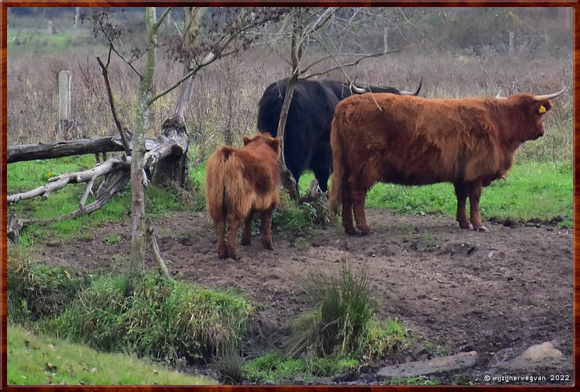 ,  

Langs de rand van Nederland 9
Weert
'Kempen Broek'
Tungelroyse Beek        19/34