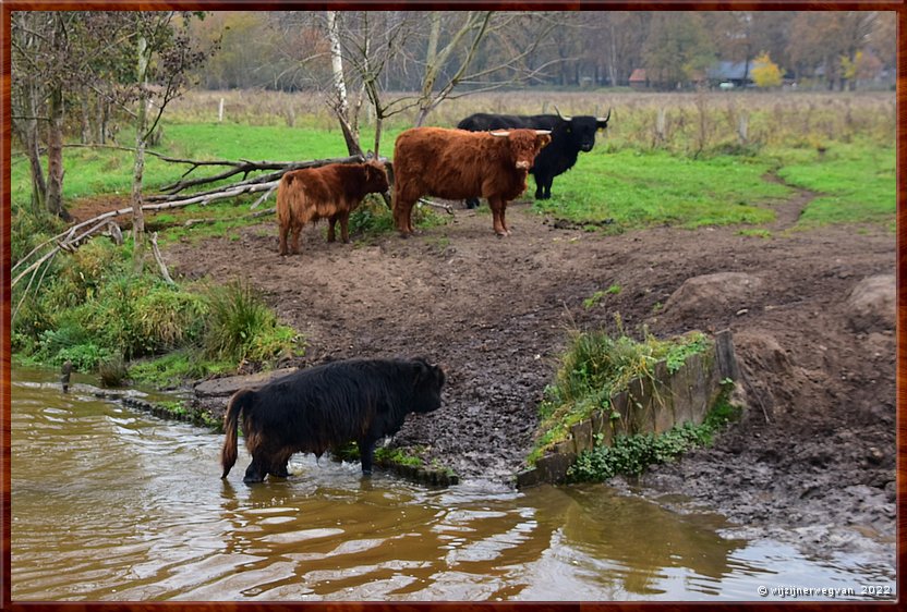 ,  

Langs de rand van Nederland 9
Weert
'Kempen Broek'
Tungelroyse Beek        20/34