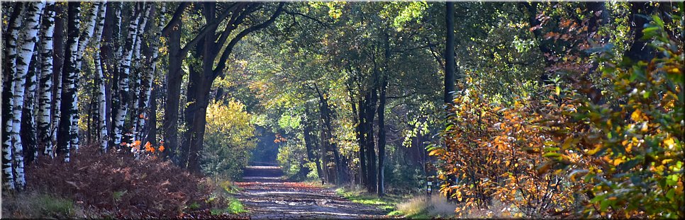 wo 4-11-2020 Langs de rand van Nederland 2 - Esbeek > Reusel - We zoeken de grenzen op - 22,1 km