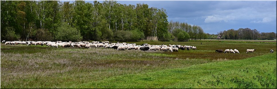 wo 5-5-2021 Langs de rand van Nederland 46 - Haaksbergen > Enschede - Siberische lente - 19,3 km