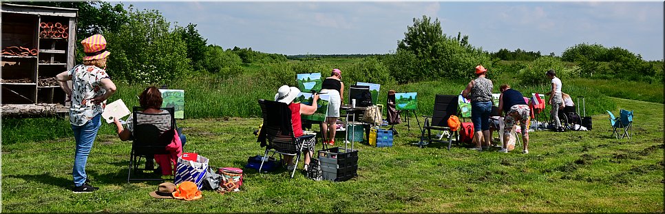 di 8-6-2021 Langs de rand van Nederland 56 - Weiteveen > Barger-Compascuum - De venen zijn henen - 17,2 km