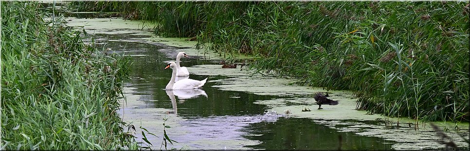 wo 15-9-2021 Langs de rand van Nederland 76 - Lemmer > Creil - In ons NOPje - 16,7 km