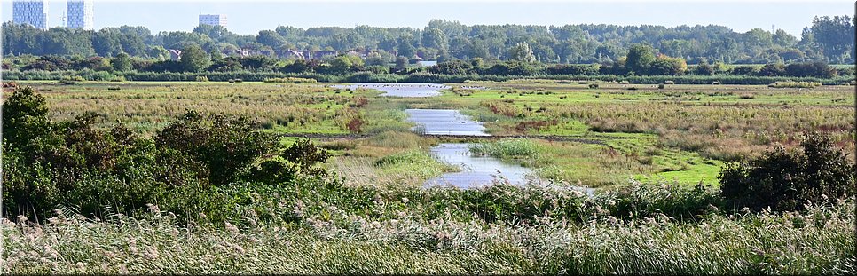 ma 4-10-2021 Langs de rand van Nederland 81 - Lelystad > Almere - van (lepelaar)plassen en zo al mere - 18,5 km