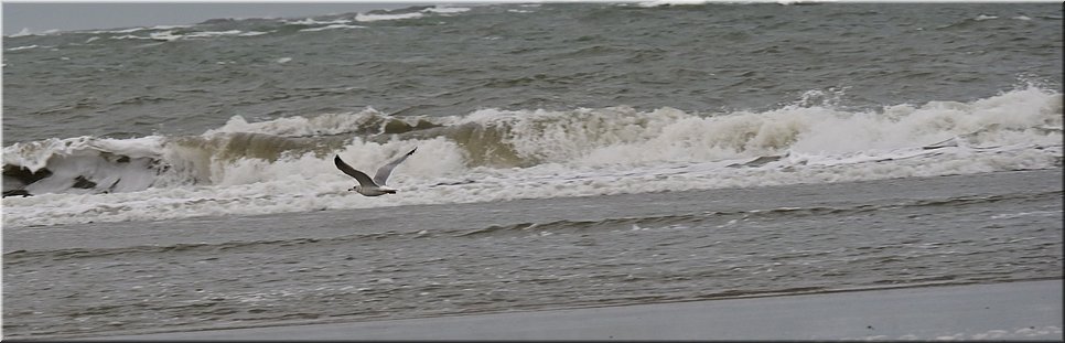 za 20-11-2021 Langs de rand van Nederland 104 - Hollum > Buren - Hollen naar de buren - 33,3 km