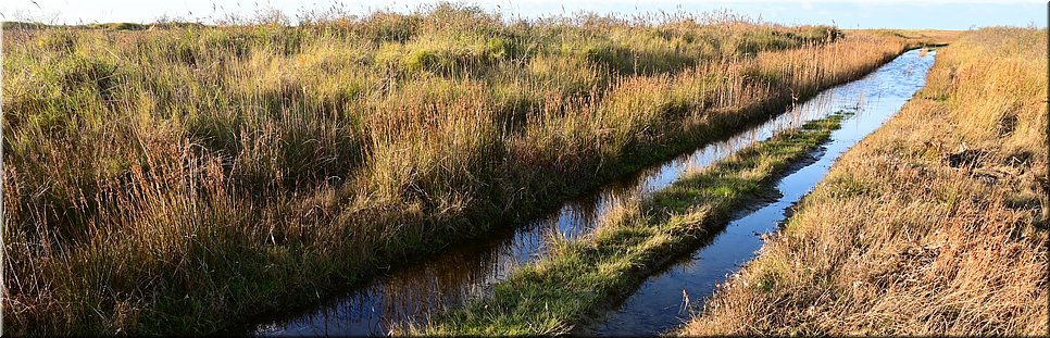 ma 22-11-2021 Langs de rand van Nederland 106 - Buren > Schiermonnikoog - Dag Ameland, Hallo Schiermonnikoog - 15,2 km