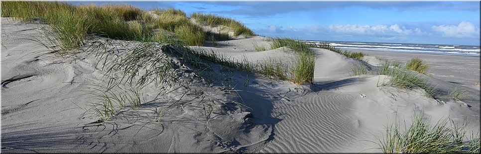 di 23-11-2021 Langs de rand van Nederland 107 - Schiermonnikoog > Schiermonnikoog - Aan de zwier op het schier - 19,2 km