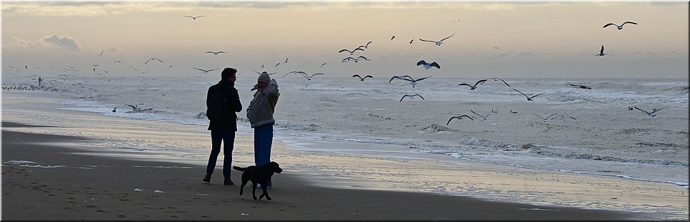 vr 28-1-2022 Langs de rand van Nederland 114 - Zandvoort > Noordwijk - van noord naar zuid hollend - 17,2 km