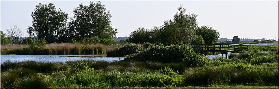 vr 27-5-2022 Langs de rand van Nederland 124 - Hekelingen > Zuid Beijerland - We gaan het hoekje om - 15,2 km