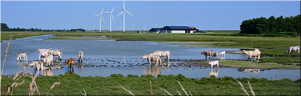 vr 17-6-2022 Langs de rand van Nederland 131 - Herkingen > Oude Tonge - Tsjonge jonge, al in Oude Tonge - 12,8 km