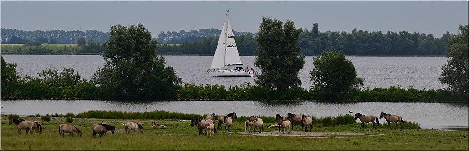 zo 19-6-2022 Langs de rand van Nederland 132 - Oude Tonge > Ooltgensplaat - Highway to hell - 22,4 km