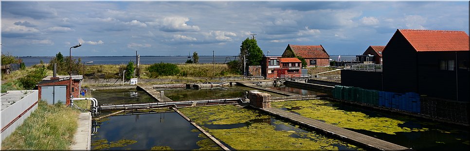 za 27-8-2022 Langs de rand van Nederland 150 - Krabbendijke > Wemeldinge - We gingen naar Wemeldinge - 20,1 km