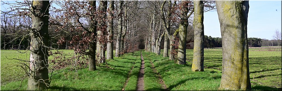 do 16-3-2023 Langs de rand van Nederland 173 - Baarle Nassau > Goirle - drieduizend  in dubbeldorp  - 14,1 km